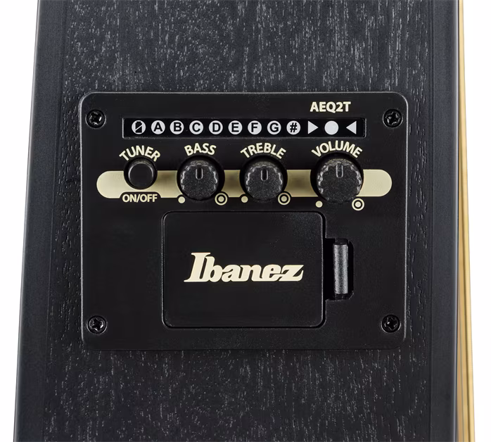Ibanez TCY621 Black Out - Elektroakustische Gitarre