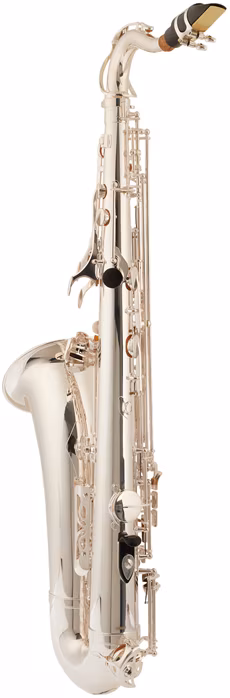 Bacio Instruments BTS-100SG (gebraucht) - Saxophon