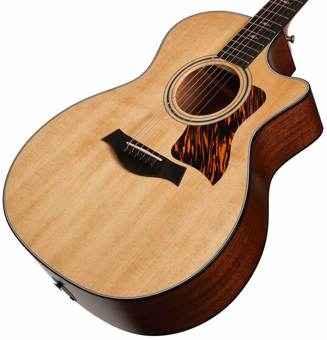 Taylor 314ce - Elektroakustische Gitarre