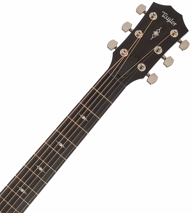 Taylor 314ce - Elektroakustische Gitarre