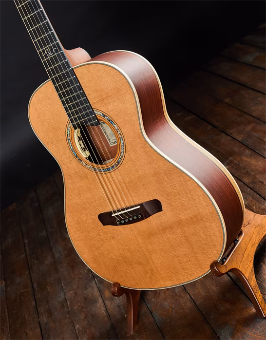 Dowina 2022 GDE Cocobolo Master Series - Elektroakustische Gitarre