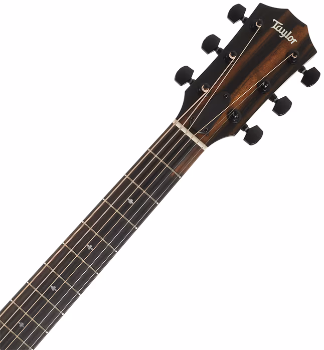 Taylor 214ce Plus Special Edition Grey - Elektroakustische Gitarre