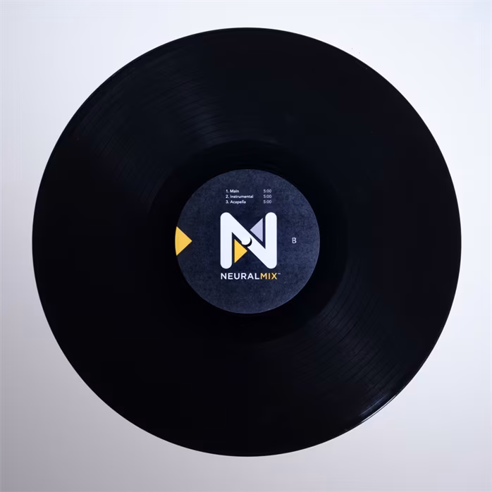 Stokyo Algoriddim djay Control Vinyl 12'' - Performance vinyl