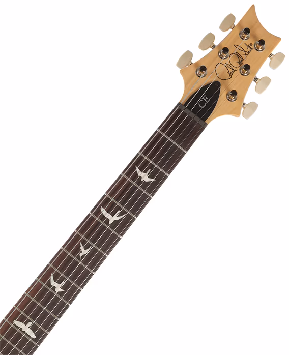 PRS CE 24 Carroll Blue - E-Gitarre
