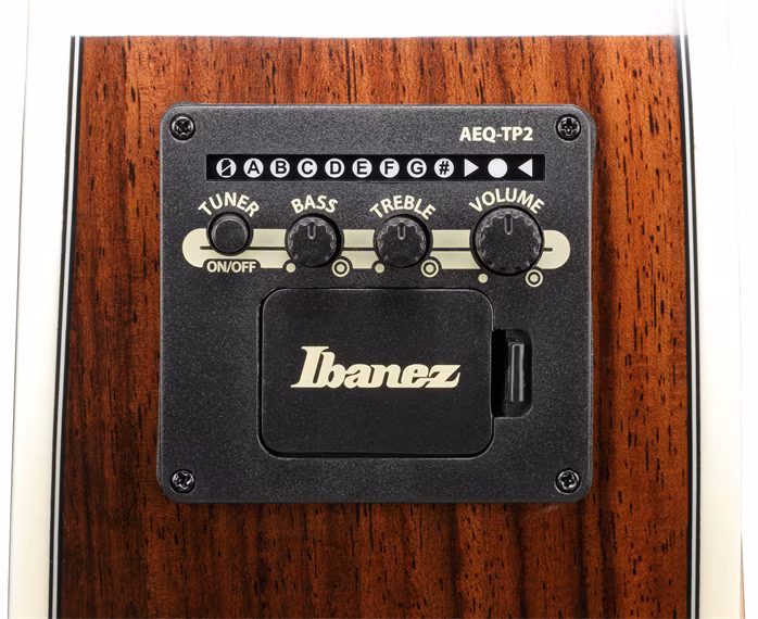 Ibanez AC391RCE Black Top - Elektroakustische Gitarre