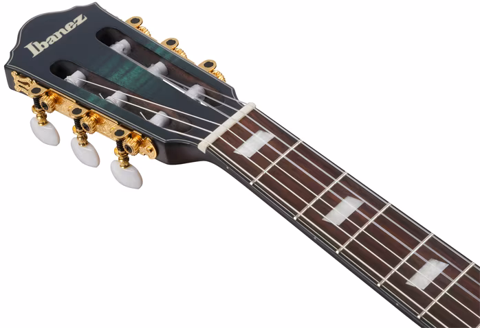 Ibanez FRH20FMN Deep Emerald Green - Klassische elektroakustische Gitarre
