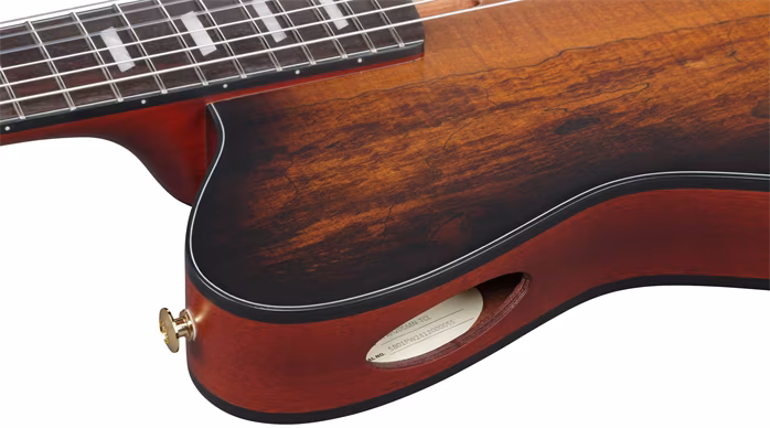 Ibanez FRH20SMN Tobacco Burst - Klassische elektroakustische Gitarre