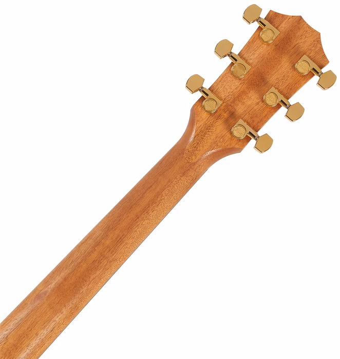 Taylor Sunset Boulevard 214ce DLX SEB - Elektroakustische Gitarre