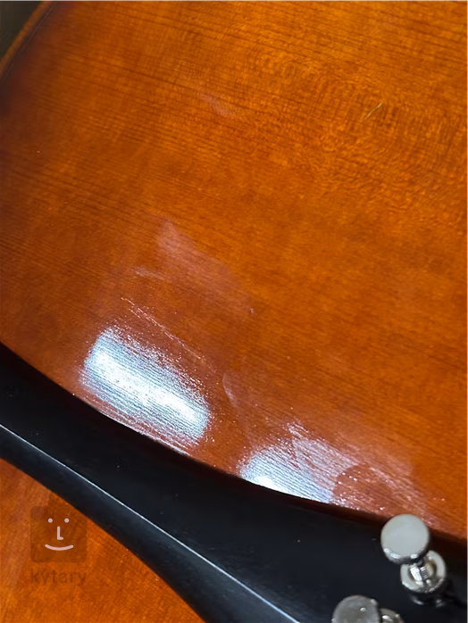 Bacio Instruments Master Grade Cello (AC500) 4/4 (gebraucht) - Violoncello