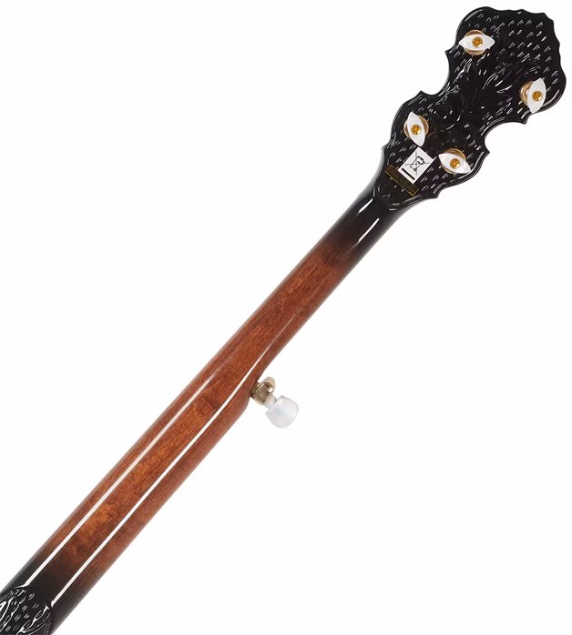 Ortega OBJ850-MA - Banjo