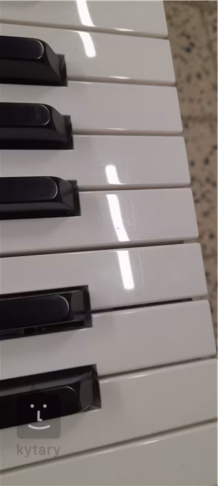 Korg B2N (gebraucht) - Mobiles elektronisches Stage Piano