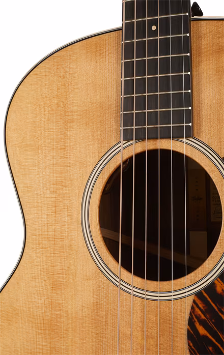 Taylor Gold Label 714e - Elektroakustische Gitarre