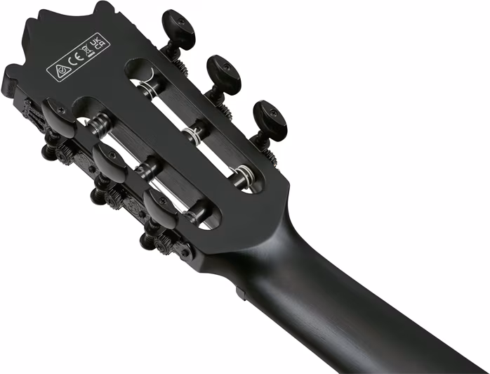 Ibanez GA621-BOT - Klassische elektroakustische Gitarre