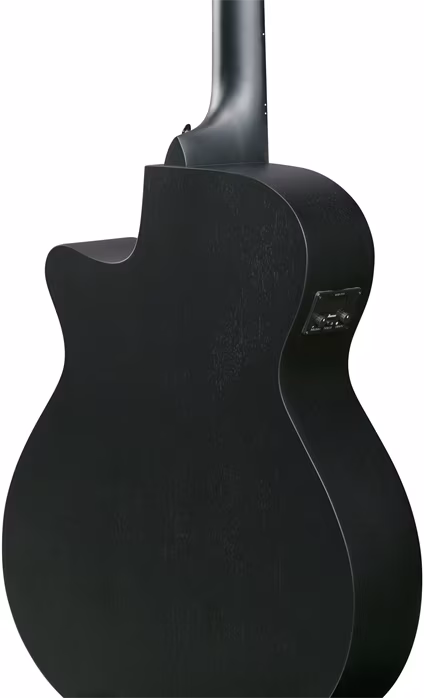 Ibanez AEG621-BOT - Elektroakustische Gitarre