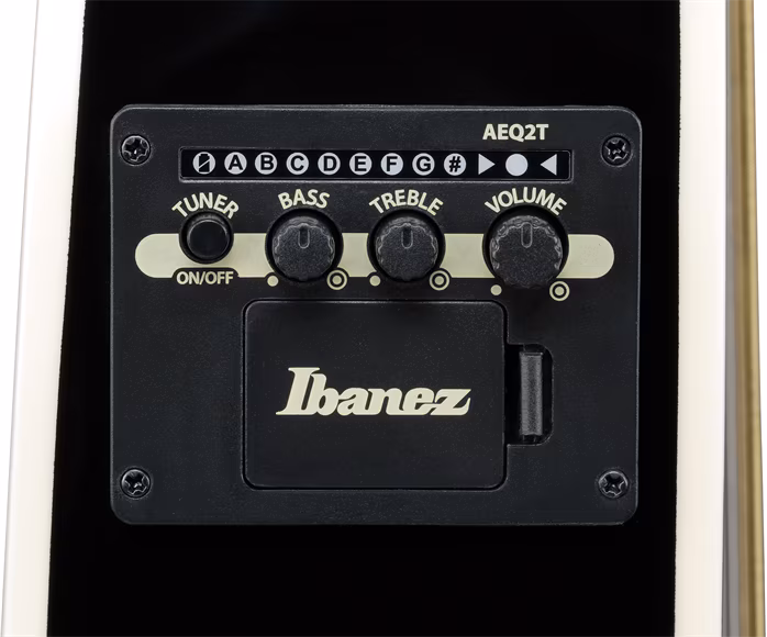 Ibanez TCY10PA-CBS - Elektroakustische Gitarre