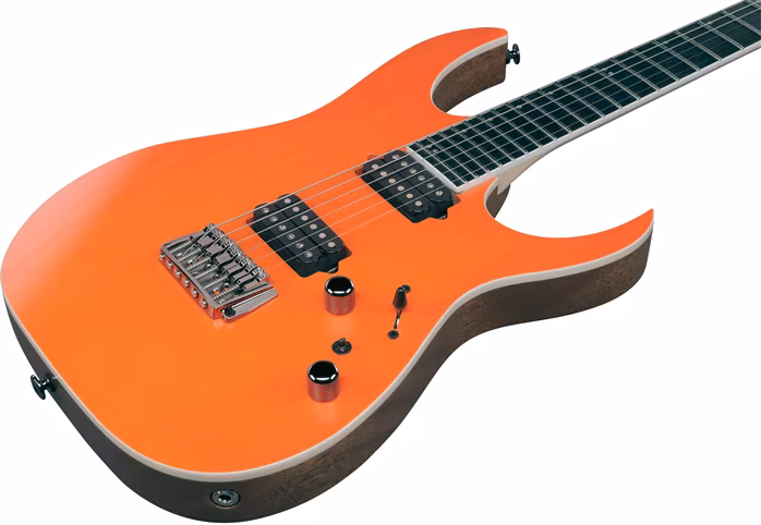 Ibanez RGR5221R-TFR - E-Gitarre