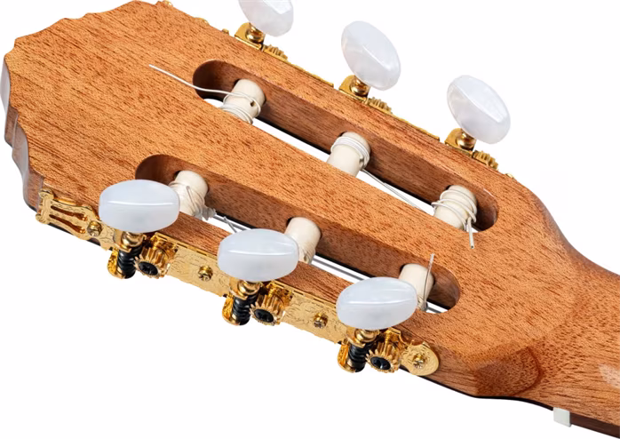 Ortega R20GSNWN - Die klassische Gitarre