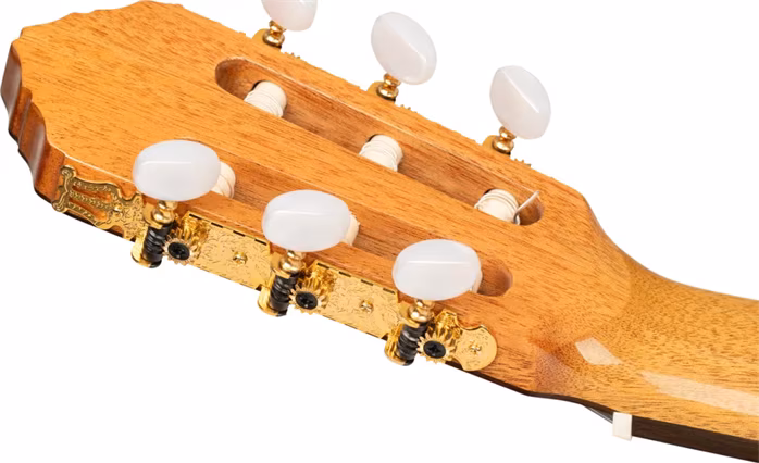 Ortega R20GRG - Die klassische Gitarre