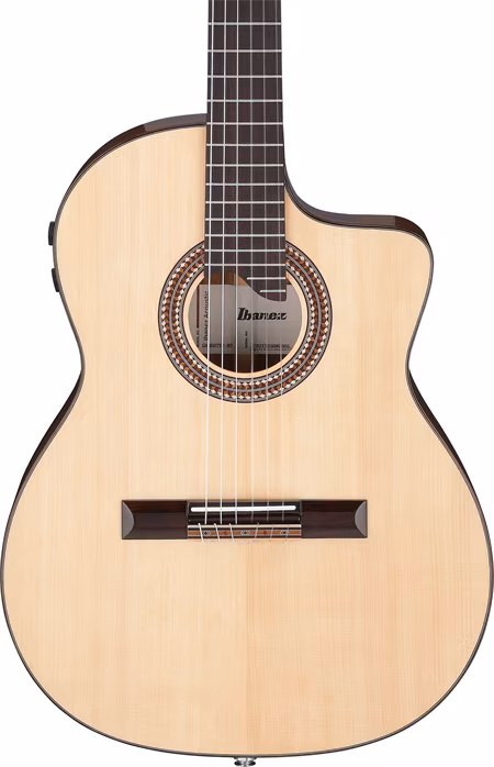Ibanez GA360TCE NT - Klassische elektroakustische Gitarre
