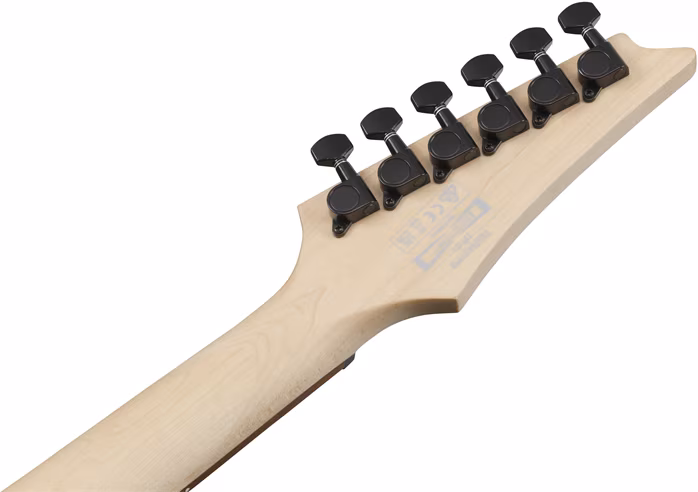 Ibanez RGR431PB CGF - E-Gitarre