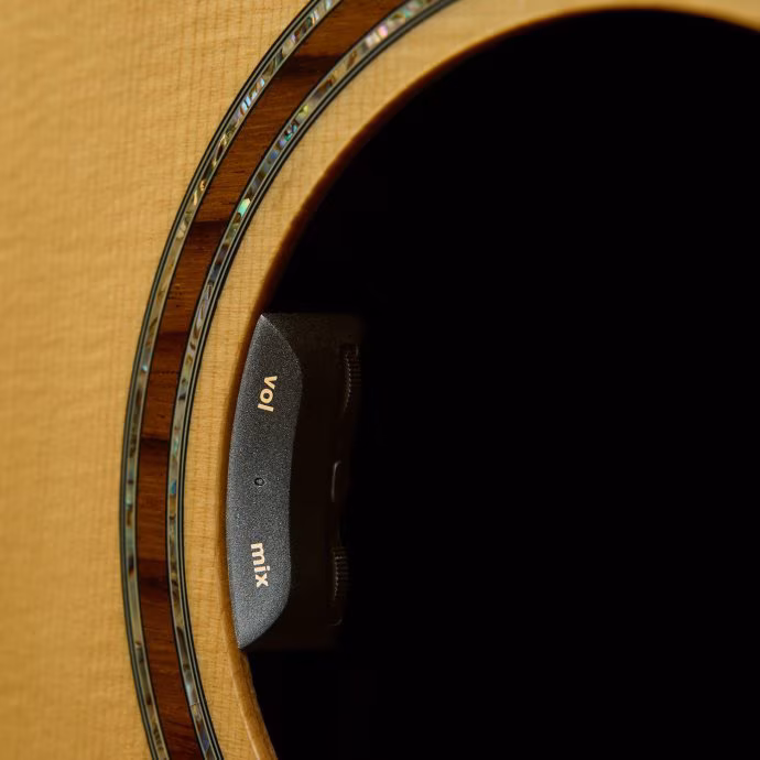L.R. Baggs HiFi Duet (OEM pro kytary FURCH) - Tonabnehmer für akustische Gitarre