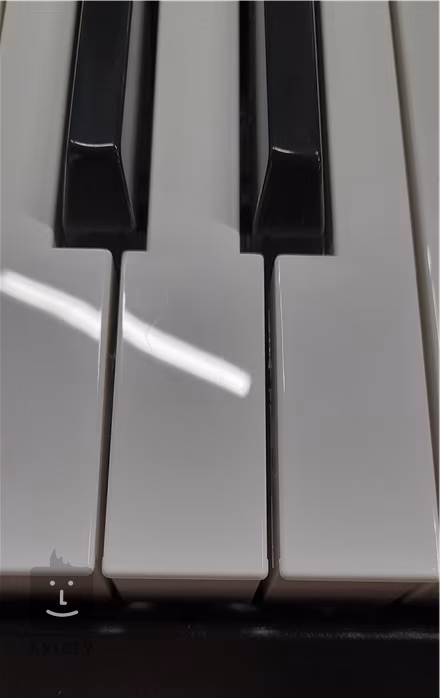 Fox 160 WH (gebraucht) - Keyboard ohne Dynamik