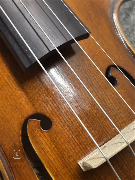 Bacio Instruments AVA100S (fast neues) - Akustische Violine