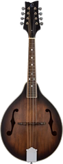 Ortega RMA30-WB - Mandoline acoustique