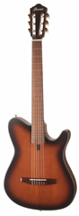 Ibanez FRH10NF Brown Sunburst - Guitare classique électroacoustique