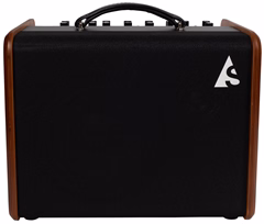 Godin Acoustic Solutions ASG-8 120 Wood - Combo pour instruments acoustiques