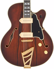 D'Angelico Deluxe 59 Satin Brown Burst - Guitare semi acoustique