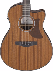Ibanez AAM54CE Natural - Guitare électroacoustique