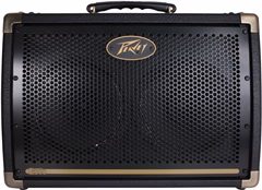 Peavey Ecoustic E208 - Akusztikus kombó