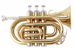 Soundsation STPGD-10P - Trombita