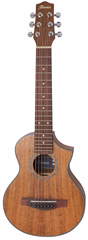 Ibanez EWP14WB Natural
