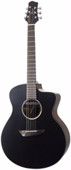 Ibanez JGM5-BSN (kicsomagolt) - Elektroakusztikus gitár