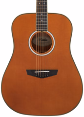 D'Angelico Lexington Dreadnought E Vintage Natural - Elektroakusztikus gitár