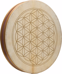 Meinl Sonic Energy WD20FOL - Wavedrum