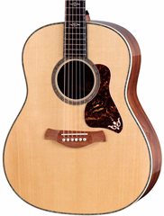 Taylor Gold Label 917e Honduran Rosewood Natural - Elektroakusztikus gitár
