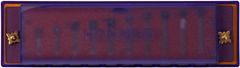 Hohner Translucent Harp C, purple, hardcase - Szájharmónikák