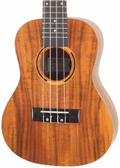 Tanglewood TWT8 (kicsomagolt) - Akusztikus ukulele