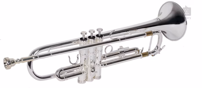 Soundsation STPSL-10 - Trombita