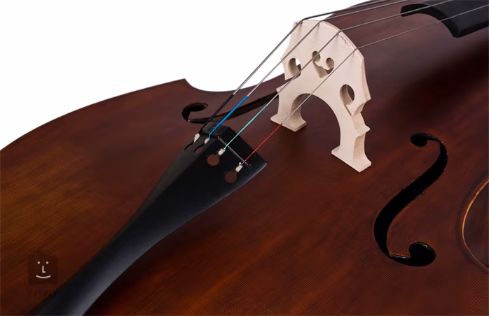 Soundsation P806-34 - Akusztikus nagybőgő