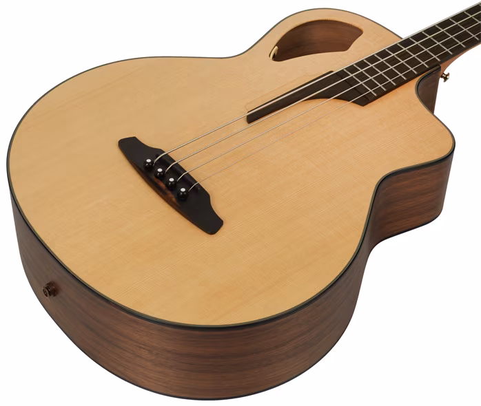 Furch Bc 62-SW 4 - Elektroakusztikus basszusgitár