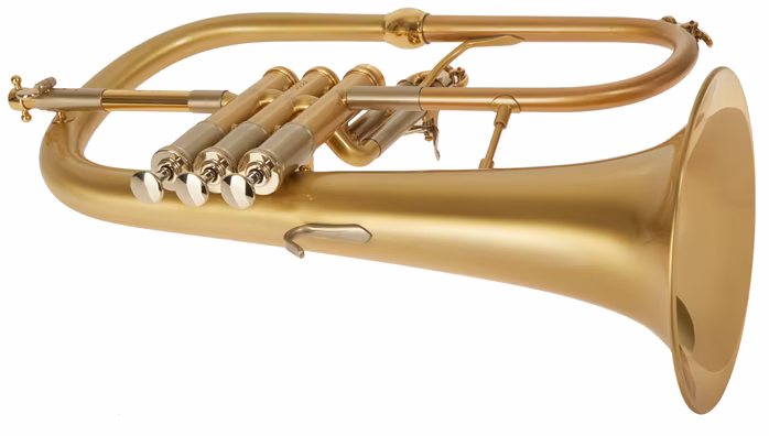 VanLaar B1 Brushed, lacquered - Szárnykürt