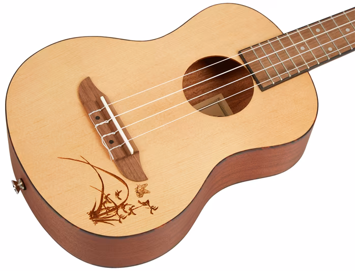 Ortega RU5-TE - Akusztikus ukulele