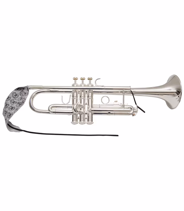 BG France A31T - Trombita tisztító kefe