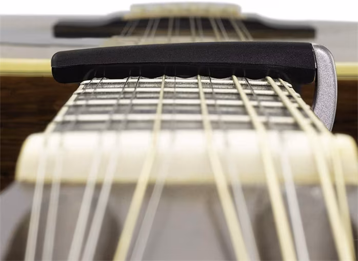 D'Addario PW-CP-19S - Kapodaszter