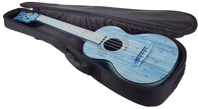 Ortega RUSWB-TE - Akusztikus ukulele