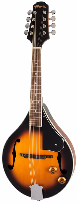 Vintage VPMA50EAV - Elektroakusztikus mandolin